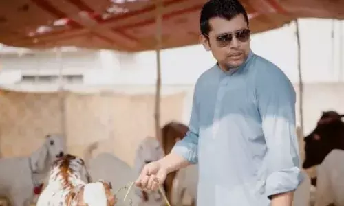 kamran akmal cricket kamran akmal cricket