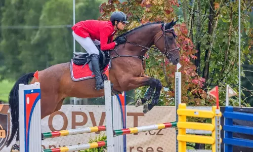 शशांक ने राष्ट्रीय घुड़सवारी चैंपियनशिप में जीता स्वर्ण पदक शशांक ने राष्ट्रीय घुड़सवारी चैंपियनशिप में जीता स्वर्ण पदक